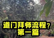 魔域拜师系统如何操作？如何同意他人的拜师请求？