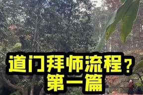 魔域拜师系统如何操作？如何同意他人的拜师请求？