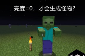 《我的世界》游戏亮度调节方法