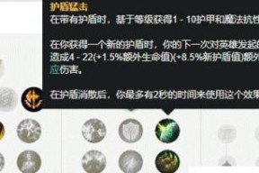 英雄联盟中护盾装备的技能效果如何？