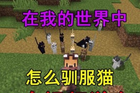 我的世界猫咪恢复生命值的方法是什么？