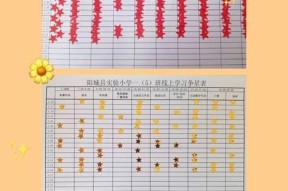 修星表格调整方法是什么？调整后如何查看效果？