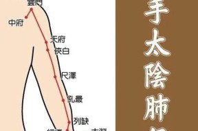 星耀少女试作太阴（全面解析星耀少女试作太阴的技能特点与属性加点策略）
