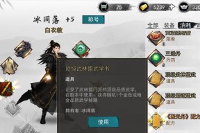 峨眉擂台玩法攻略（峨眉新玩法解析）