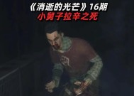 消逝的光芒夜魔（光芒夜魔的起源及游戏玩法解析）