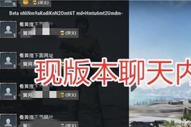 绝地求生中如何实现私聊而不被发现？