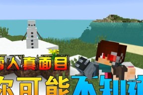 我的世界中放弃南瓜的方法是什么？