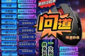 问道端游辅助器的正确使用方法是什么？有哪些功能？