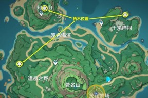 原神供奉栖木继电石解谜攻略（探索栖木继电石的谜团）