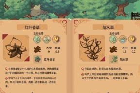 林中小女巫（探索奇幻世界）