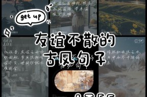 三国杀中表达友谊的句子有哪些？