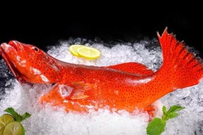 食物语浪花东心斑技能有多强？测评结果揭示真相？