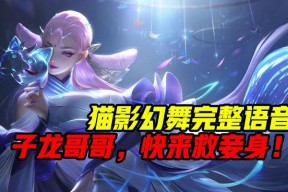 王者荣耀二猫国服多少钱？购买二猫国服需要多少费用？