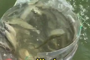 我的世界中桶装鱼的制作方法是什么？