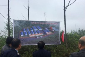 星耀少女栉水田技能及属性介绍？如何评价其在游戏中的表现？
