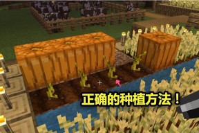 我的世界南瓜种植方法是什么？如何快速获得南瓜？