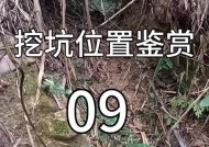 在绝地求生中被迫挖坑应如何应对？有哪些策略？