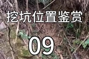 在绝地求生中被迫挖坑应如何应对？有哪些策略？