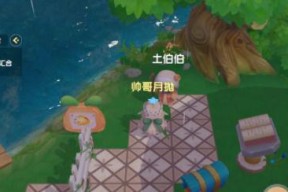 摩尔庄园手游琦琦在哪里？她的喜好是什么？