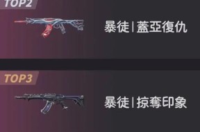 武器皮肤如何处理？