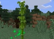 在《我的世界》中种植竹子的方法是什么？