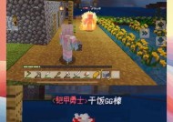我的世界访客联机功能如何开启？