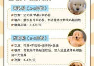 龙之谷宠物的喂养方法是什么？如何确保宠物健康成长？