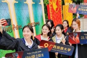 魔法纪录梢麻友（揭秘魔法纪录梢麻友的属性和特点）