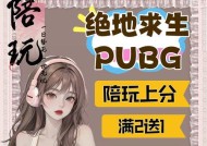 绝地求生双屏应用设置步骤？