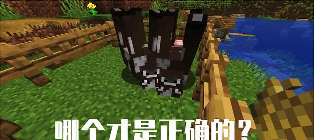 《我的世界》游戏中被忽略的实用技巧（发掘游戏中隐藏的宝藏）  第2张