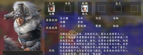 三国志14连携伤害提高技巧（如何有效提高战斗连携伤害）  第1张