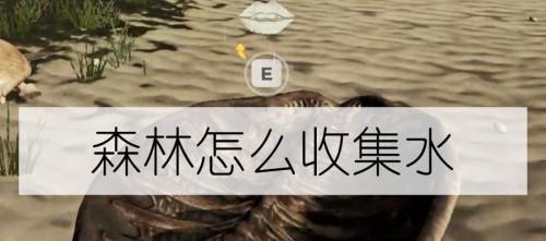探秘森林食品药品制作（如何用游戏中的技能制作森林药食品）  第2张