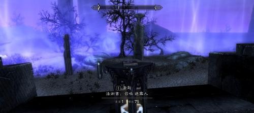 《天际商人物品快速刷新技巧大揭秘》（游戏中如何快速刷新商人物品）  第3张