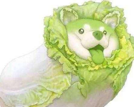 《圣符国度》攻略大全（掌握游戏技巧）  第2张
