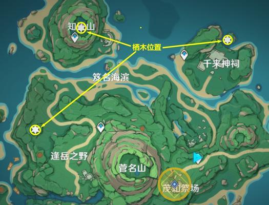 原神供奉栖木继电石解谜攻略（探索栖木继电石的谜团）  第1张