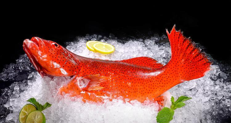 食物语浪花东心斑技能有多强？测评结果揭示真相？  第1张