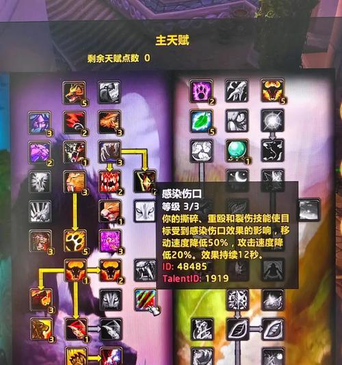 魔兽世界中熊怪声望如何快速提升？有哪些有效方法？  第2张
