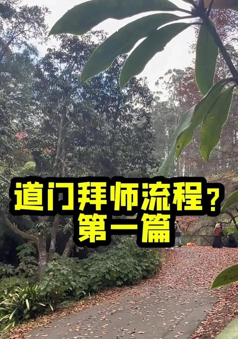 魔域拜师系统如何操作？如何同意他人的拜师请求？  第1张