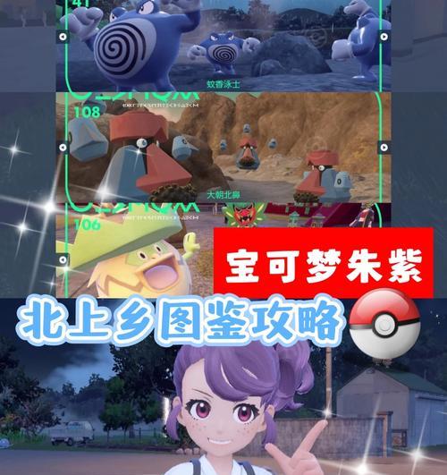 口袋妖怪游戏中如何前往奇楠市？  第2张