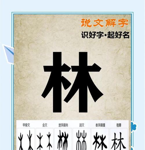 林字摆放教学步骤是什么？  第1张