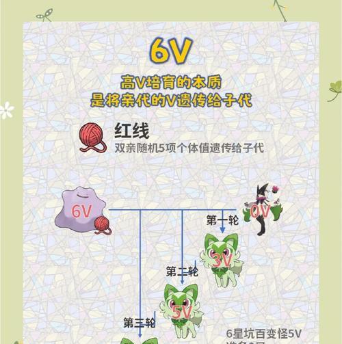 如何鉴别口袋妖怪的6v？6v的特征有哪些？  第2张