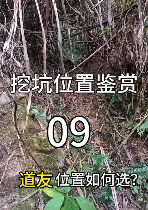 在绝地求生中被迫挖坑应如何应对？有哪些策略？  第1张