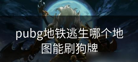 绝地求生狗牌模式开启方法？有什么特殊功能？  第3张