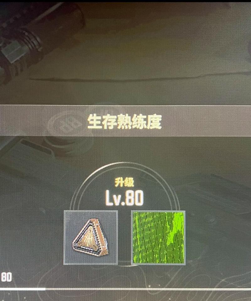 绝地求生中快速升级的方法有哪些？绝种如何快速提升等级？  第2张