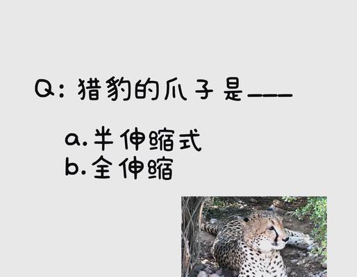 我的世界中猎豹如何饲养？需要哪些条件？  第3张