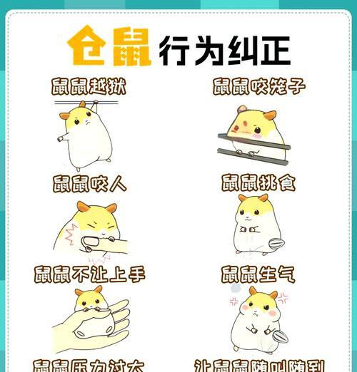 我的世界怎么玩到仓鼠？仓鼠的获取和驯服方法是什么？  第3张