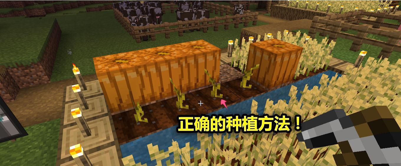 我的世界南瓜种植方法是什么？如何快速获得南瓜？  第1张