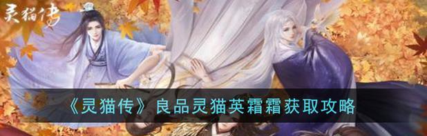 灵猫传（灵猫作用玩法介绍）  第1张
