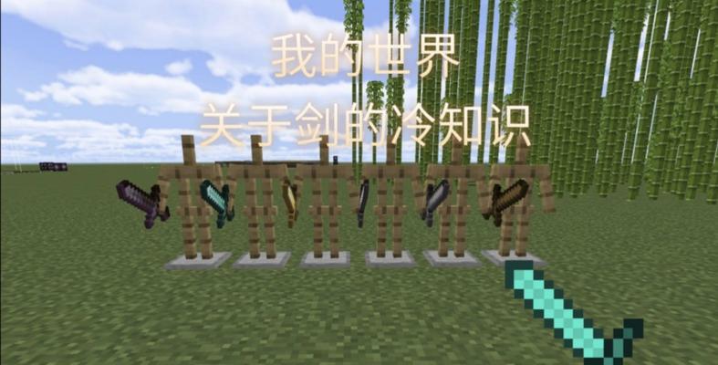 我的世界中剑的防御技巧有哪些？  第2张