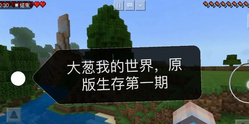 我的世界中大葱的建造方法是什么？需要哪些材料？  第3张